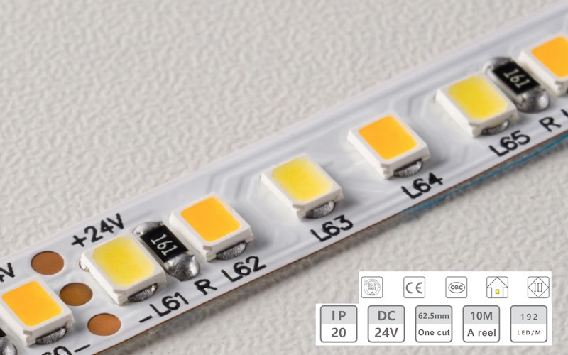 24V-8mm-192D Striscia di luce a bassa tensione a doppio colore