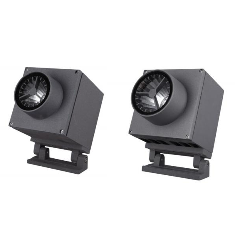 Luce di inondazione a LED IP65 IP65